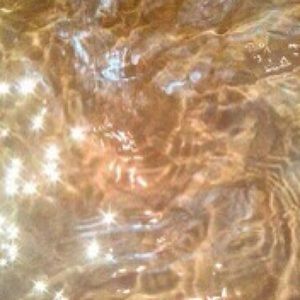 Meet your Posher, Araya